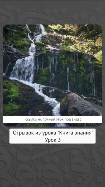 Благое намерение не делает запретную вещь дозволенной || Динар абу Идрис #ислам #коран #сунна #вера