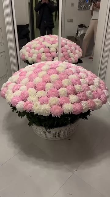 Крымские хризантемы 🤍🩷💋 #flowers #москва #пионы #розы #б смотреть онлайн