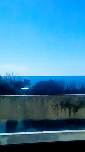 Голуби мешают чистым окнам быть в мире 🕊️ смотреть онлайн