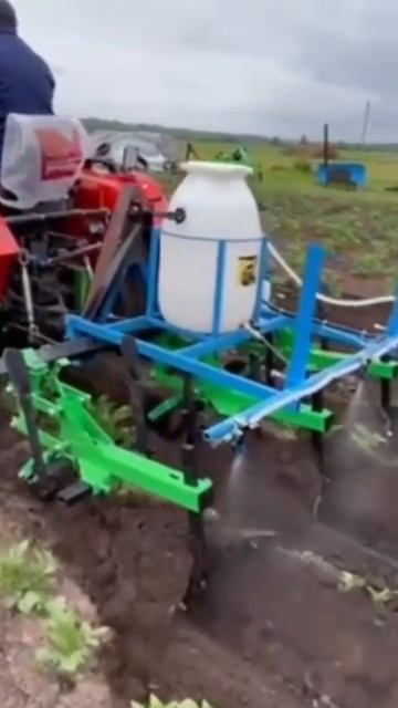 как правильно опрыскивать картофель от колорадского ? смотреть онлайн