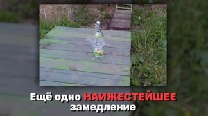 НА ЧТО СПОСОБНА ДЕТСКАЯ ПНЕВМАТИКА?