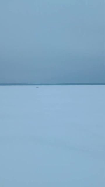 Рыбинское водохранилище.Выставили жерлы и топаем в ла смотреть онлайн