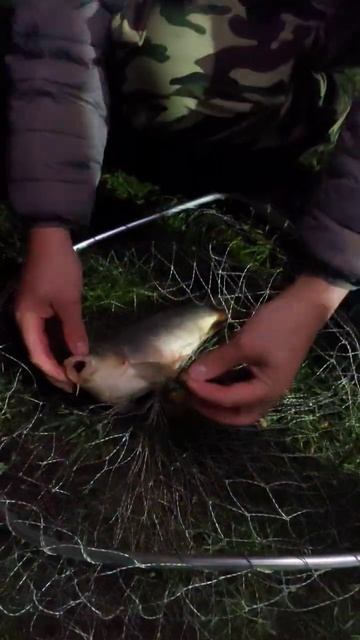 3 правила рыбалки смотреть онлайн