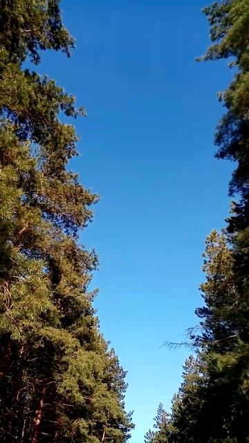 Прислушайтесь к Природе. Природу береги, люби, защищай смотреть онлайн