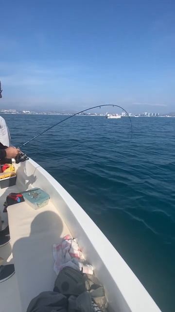 Рыбалка в Сочи. Ловим мерланга. #рыбалка #fish #fishing #морск