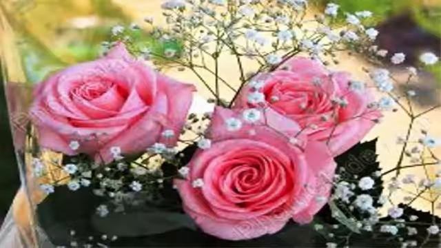 Для тебя, моя сестра смотреть онлайн