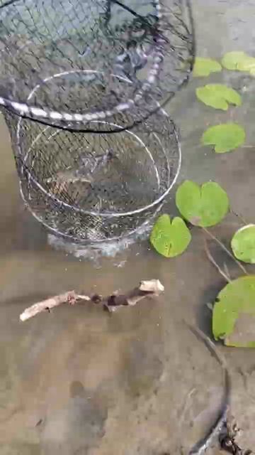 11 августа 2024 г. смотреть онлайн