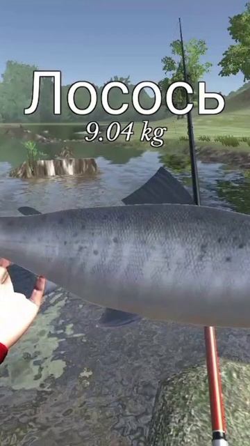 #трофеи #рыбалка #fishing #ловлясома #simulator #рекомендации #tr смотреть онлайн