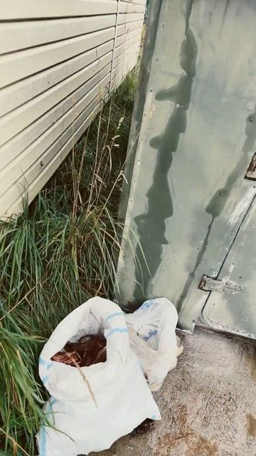 #лом #чермет #чистаястрана #топ #экология #медь #золото смотреть онлайн