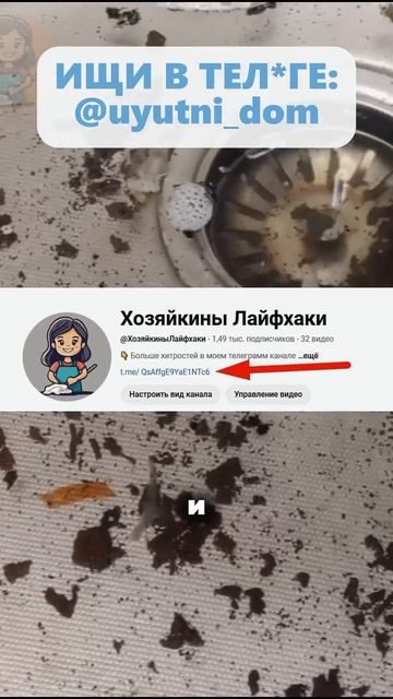 Лавровый лист кладу в стиралку. Раньше не верила #сове? смотреть онлайн