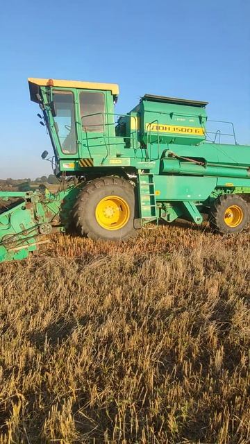 Молотимо гречку #сільськежиття #farming #сільське #agriculture #