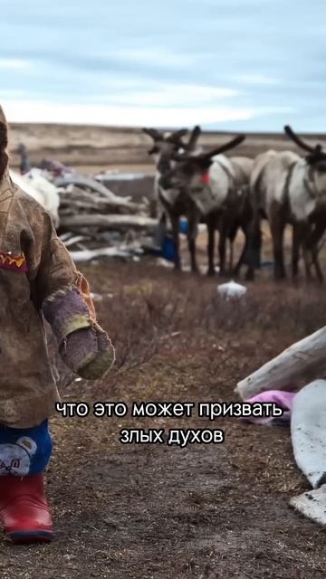 Правда или ложь: традиции народов России смотреть онлайн