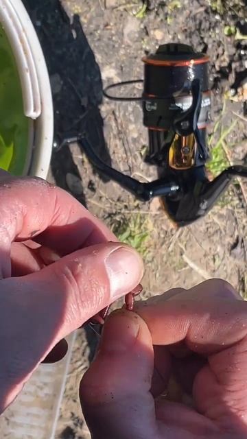 меня есть ты, у тебя есть я 😂 #рыбалка #начервя #удочки смотреть онлайн