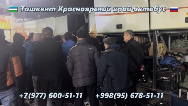 82) Ташкент-Красноярский край автобус | Красноярский кр смотреть онлайн
