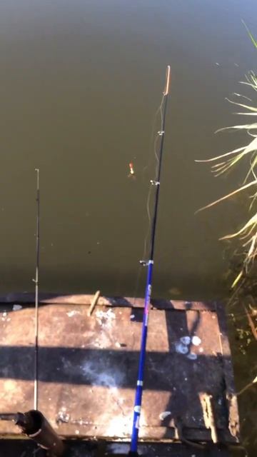 #рыбалка с другом на блесну#щука смотреть онлайн