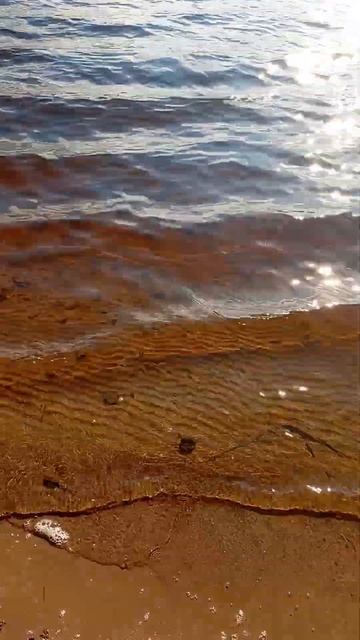 Хочется обратно лето смотреть онлайн