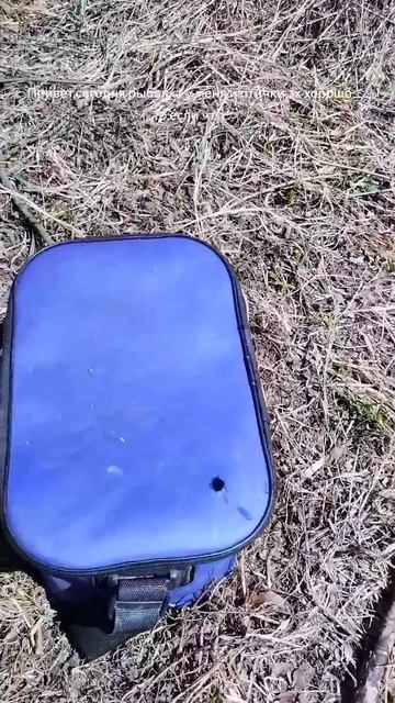 Добрый день я снова на рыбалке,отдых,птички,красота,ес