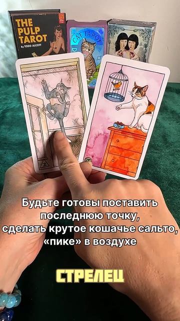 СТРЕЛЕЦ🏹ФЕВРАЛЬ Таро прогноз #стрелецгороскоп #стре?