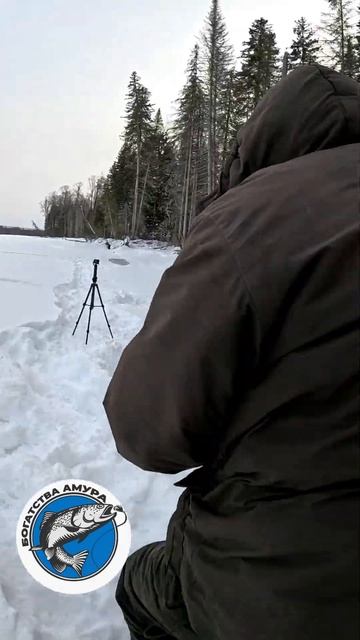 Толстопузый Ленок-Горная рыбалка |рыбалка в России | #fi