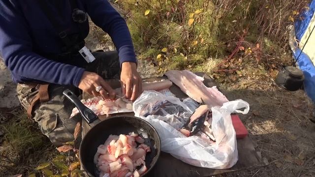 КАК ГОТОВЯТ ЩУКУ ЯКУТЫ. ПОТЕРЯЛИ ГЛАЗА ДЕДА.