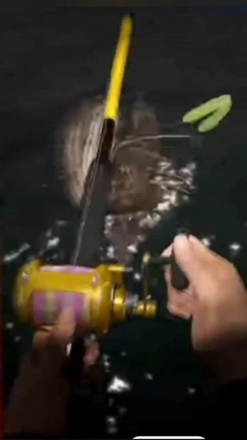 рр4 75 банка морской черт