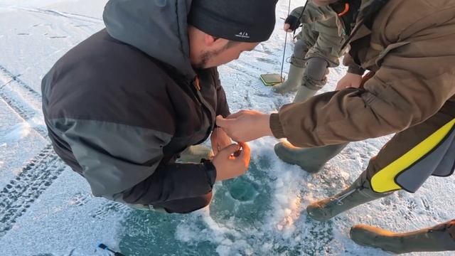 ЗА МОНСТРАМИ НА РЫБАЛКУ, С НОЧЕВКОЙ, ЖЕРЛИЦЫ, СУДАК В Г? смотреть онлайн