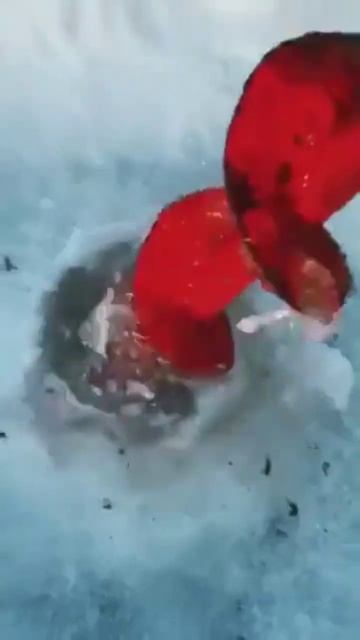 Взял жену на рыбалку смотреть онлайн