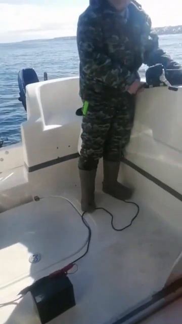 #fishing #nature морская рыбалка! ловим треску! смотреть онлайн