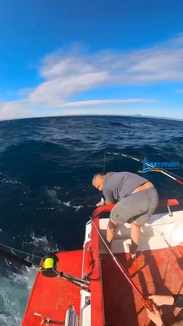 Рыбалка на тунца. Сахалин 🌊🎣 #travel #турыонлайн #nature