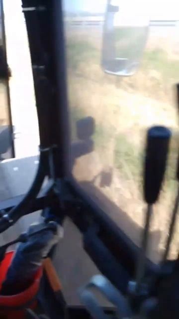 #поля#россия #кубань #жара #работа #russia #дальнобой #музы?