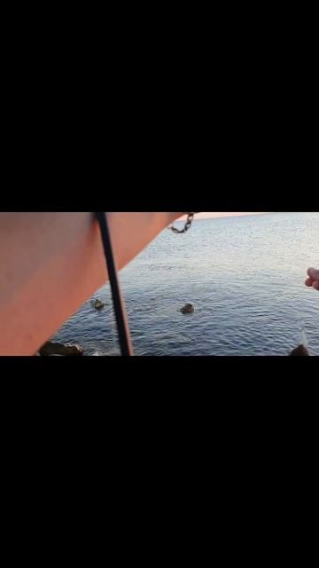 #rockfishing #микроджиг #черноеморе #bsf #отдых #рыбалка #морск смотреть онлайн