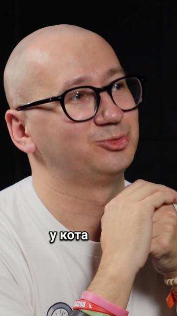 Фейерверки и кошки. Что делать, если кошка боится? Весь выпуск - в нашем канале смотреть онлайн