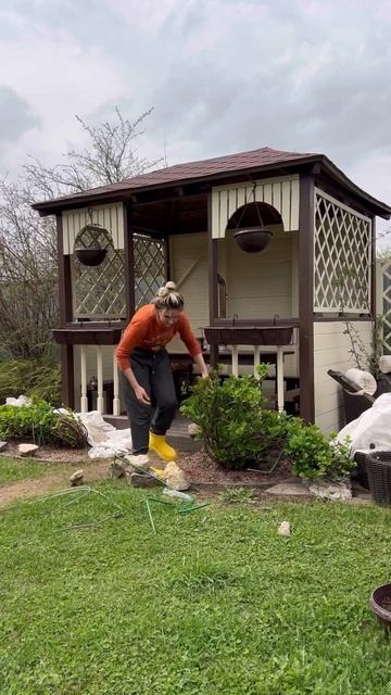 Крупнолистная гортензия #дача#гортензия#цветы#дачниц?