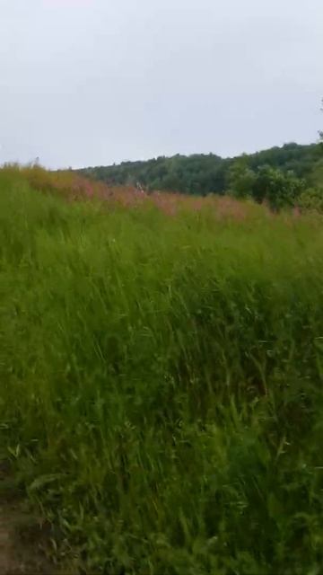 Поющие террасы, Городнее, Краснокутский р-н смотреть онлайн