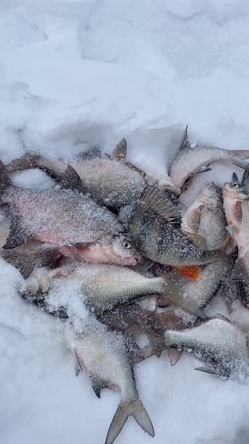 Чулым 14.03.2025 смотреть онлайн