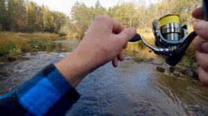 Тест и обзор TRAVEL спиннинга KOSADAKA BRAVE. Пятичастник. Рыбал