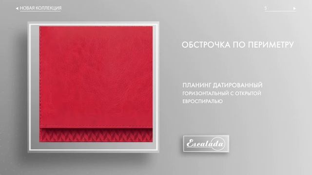 Планинг Датированный Горизонтальный С Открытой Евроспиралью арт 47551 смотреть онлайн