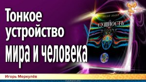 Тонкое устройство мира и человека по книге Н.В. Левашова "Сущность и разум"