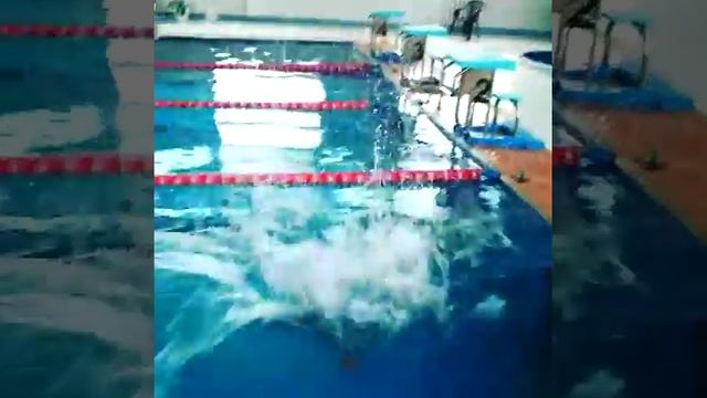 Обучение плаванию брест смотреть онлайн