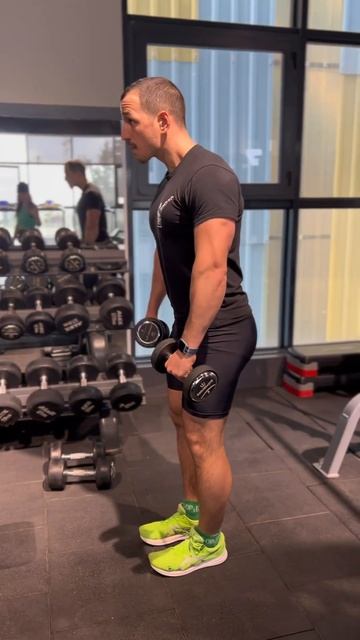 Тяга к груди с гантелями смотреть онлайн