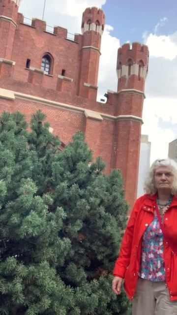 Прогулка около Королевских ворот-исторической достоп смотреть онлайн