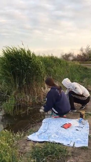 учимся закидывать спиннинг#shorts смотреть онлайн