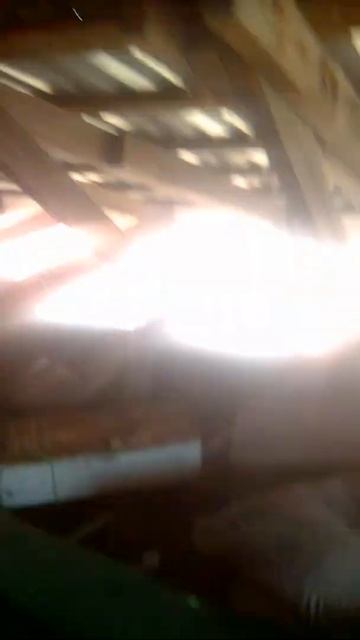 что делают мой котята на бане!?!?? смотреть онлайн