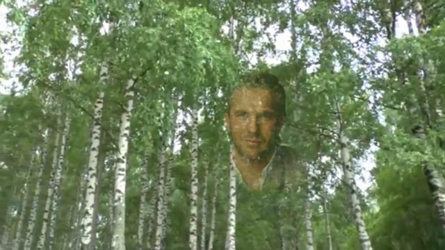 Берёзы России смотреть онлайн