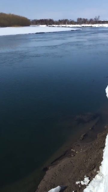 Рыбалка на гольца. Камчатка. Март смотреть онлайн