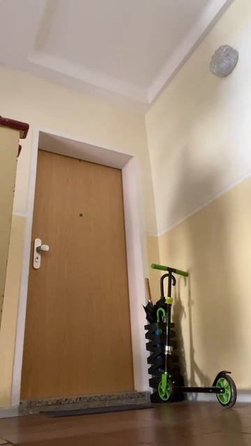 Правильная подготовка к рыбалке - залог успеха! #fishing #an смотреть онлайн