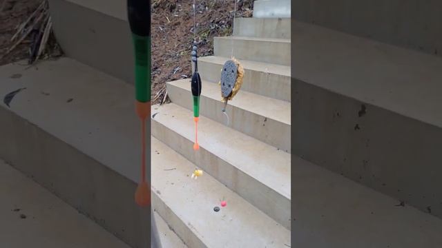 Рыбалка на белую рыбу в феврале.10.02.2024.