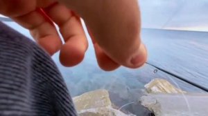 🐟 Секретная снасть для ловли угря или мурены, которую