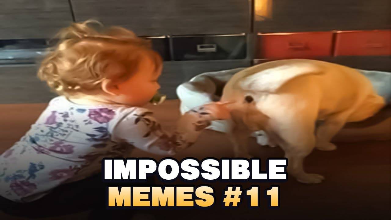 You Laugh You Lose – Dank Meme Compilation #11 (Mr. Memes)