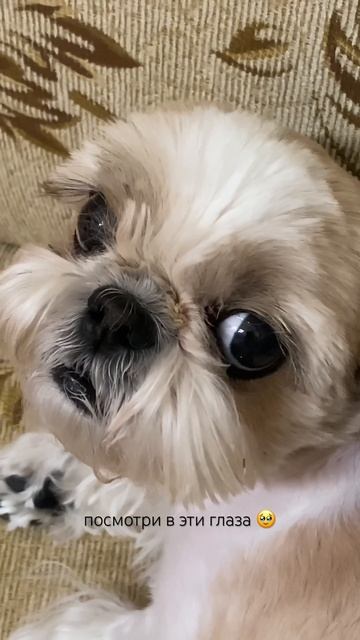 #life #vlog #day #aesthetic #daywithme #myday #nature #природа #смешноевидео #fu